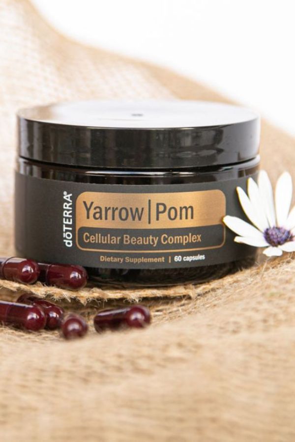 Yarrow | Pom Collection