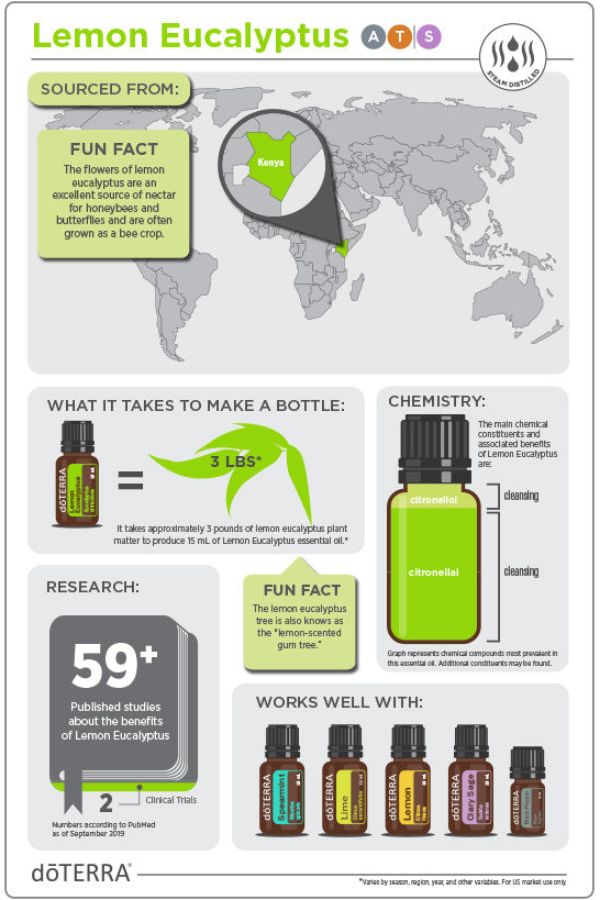 Lemon Eucalyptus