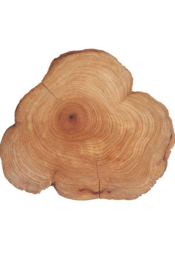 Cedarwood