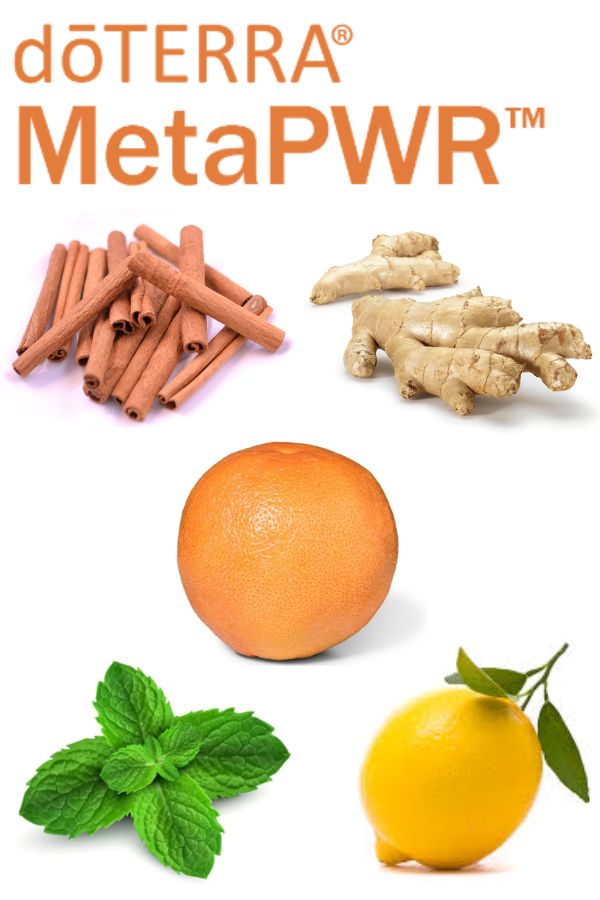 doTERRA MetaPWR Gum Plants