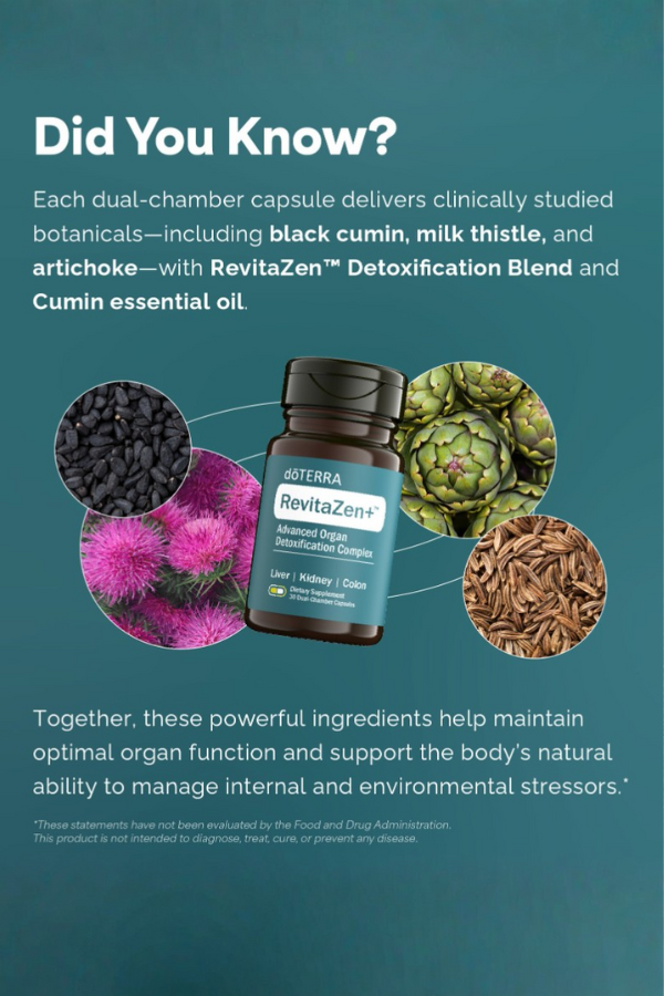 RevitaZen Detoxification Complex