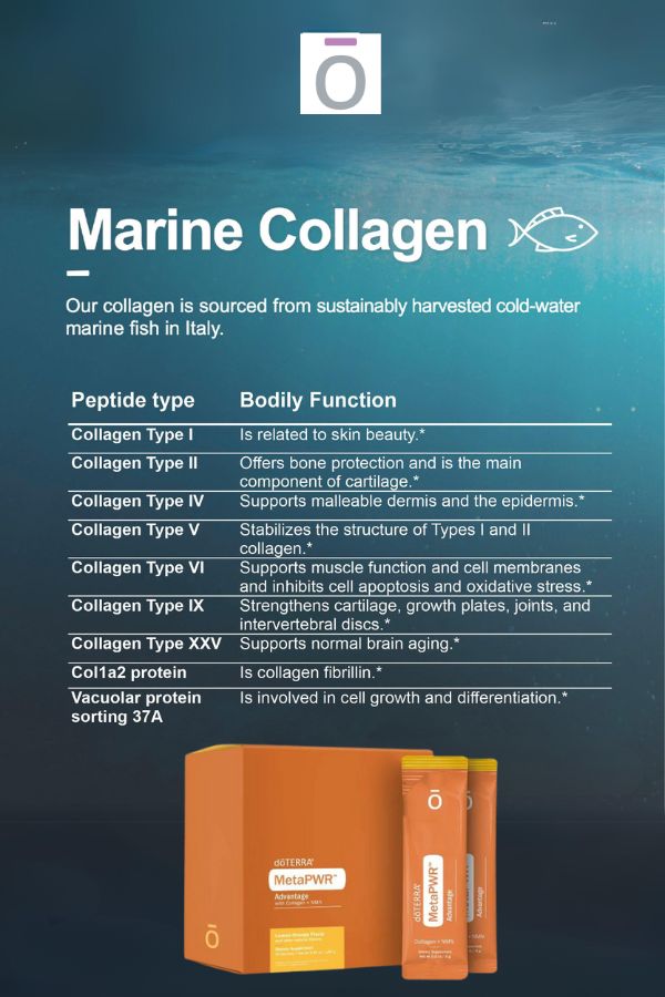 MetaPWR Advantage Collagen - 2 Pack