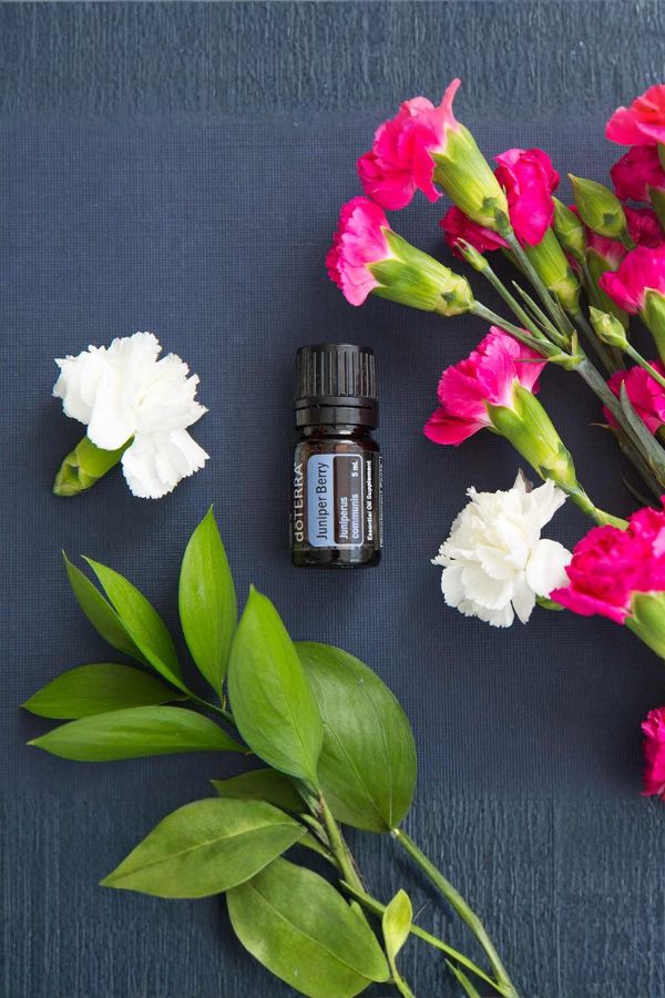 A small amber essential oil bottle labeled 'Pleasant Valley' is arranged on a dark blue textured surface with white and pink flowers and green leaves around it. doTERRA Juniper Berry Essential Oil