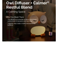 Owl Diffuser with Calmer Blend