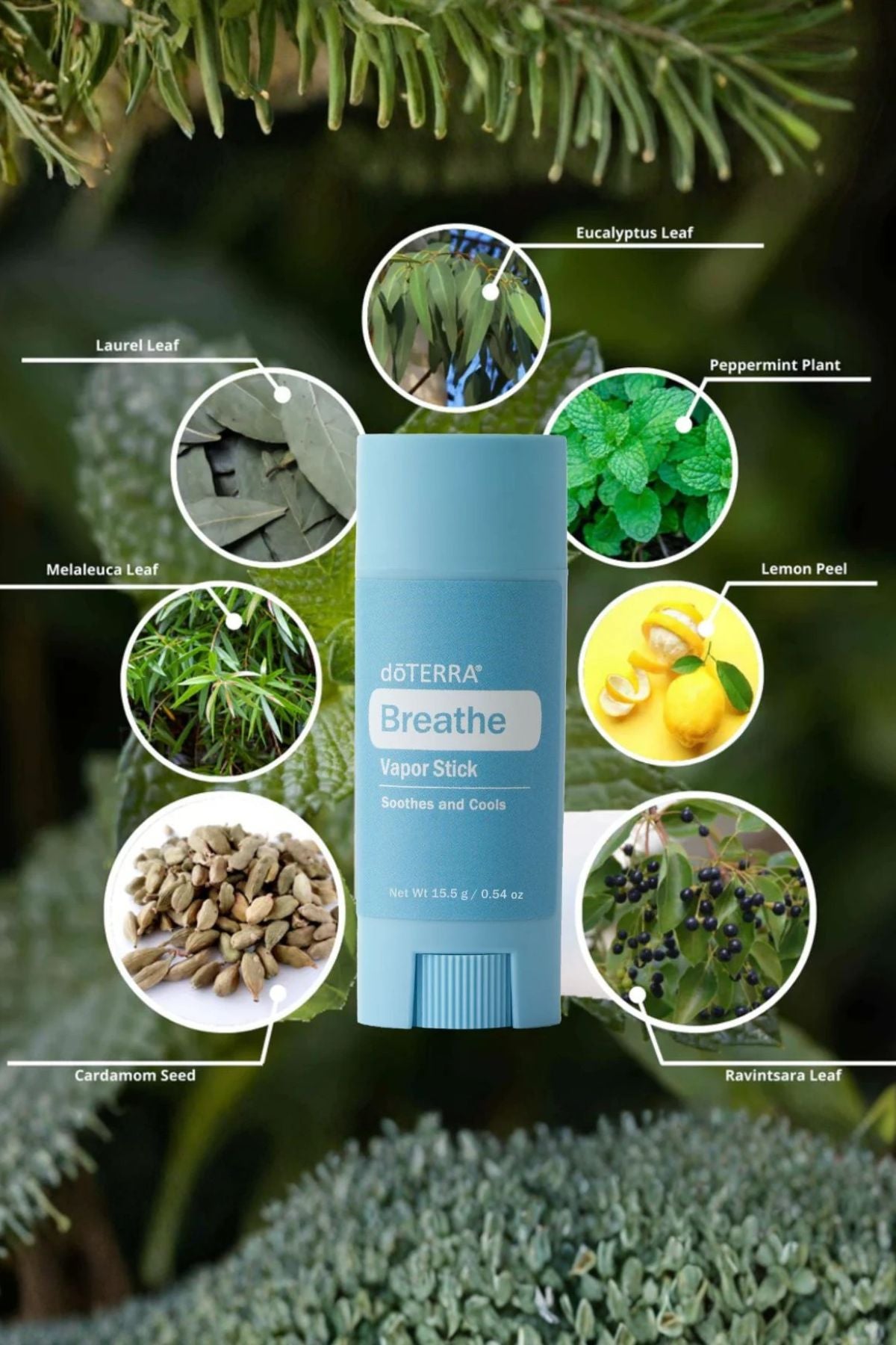 doTERRA Breathe Vapor Stick with images of plants and essential oils on a green leafy background