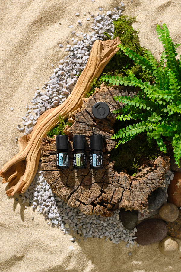 Fathers Day Woodland Trio and Car Clip Diffuser