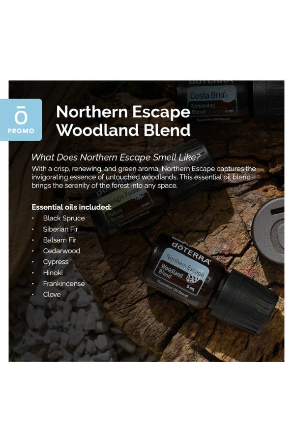 Fathers Day Woodland Trio and Car Clip Diffuser