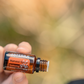 doterra Pilot Diffuser with Harvest Spice