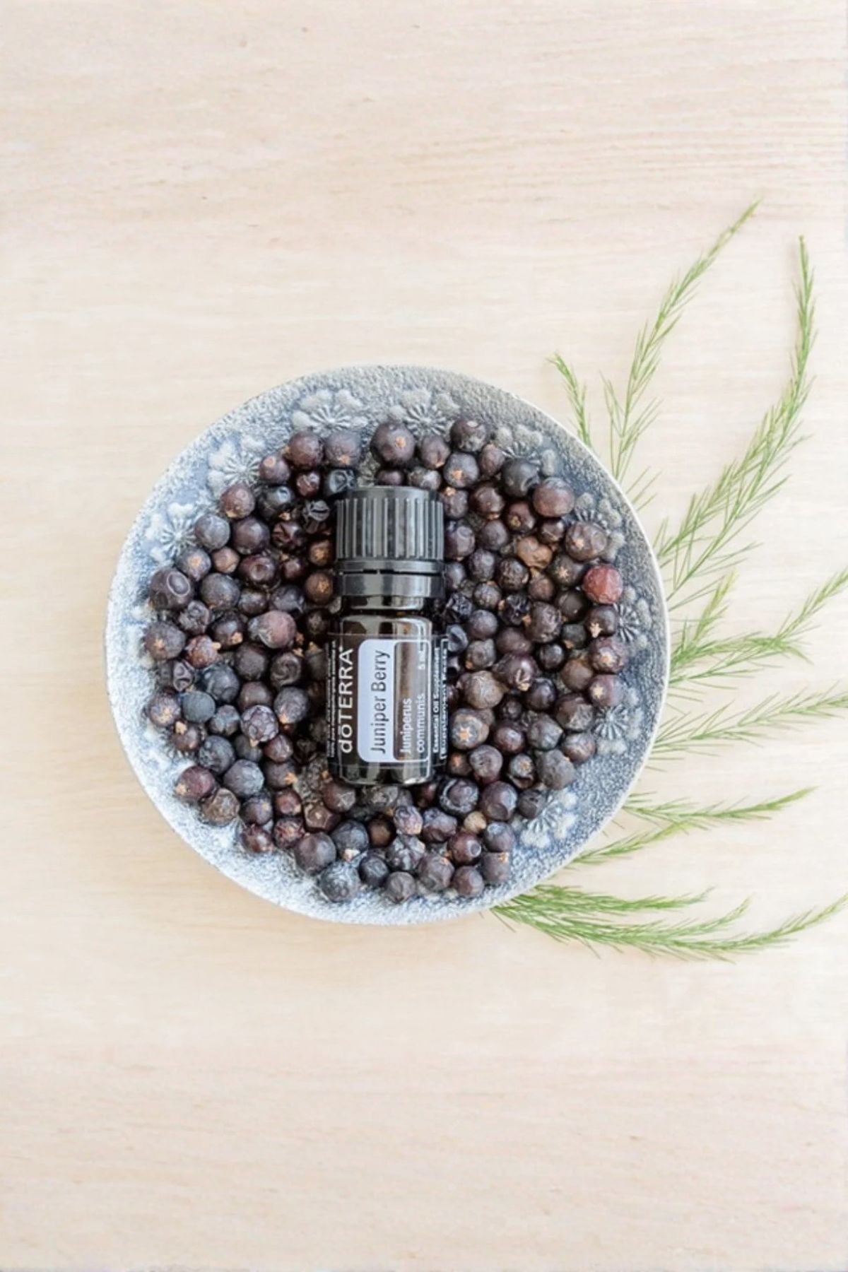 A small black essential oil bottle labeled doTERRA sits on top of a bowl filled with dark dried botanicals, arranged on a light wood surface with green sprigs beside it. doTERRA Juniper Berry Essential Oil