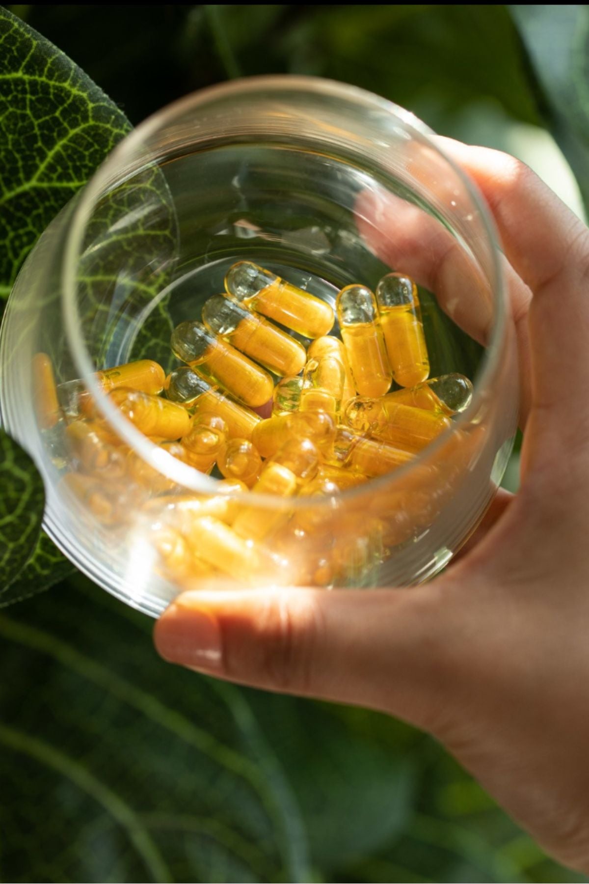 A hand holding a clear glass jar filled with golden-yellow liquid supplement capsules, set against a background of green leaves. Turmeric Dual Chamber Capsules